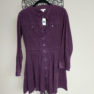 NWT Gap  Courdoroy Dress